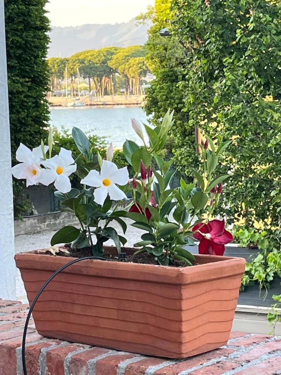 Hébergement de vacances Casa Vacanza Sole Terrazza *